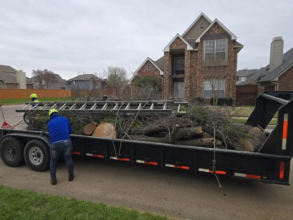 Expert Tree Fertilization with proper safety equipment in Karlsruhe